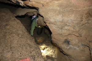 Pierre la Treiche, grotte - 9019 (I)