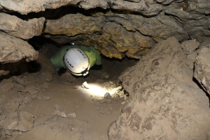Pierre la Treiche, grotte - 8983 (I)
