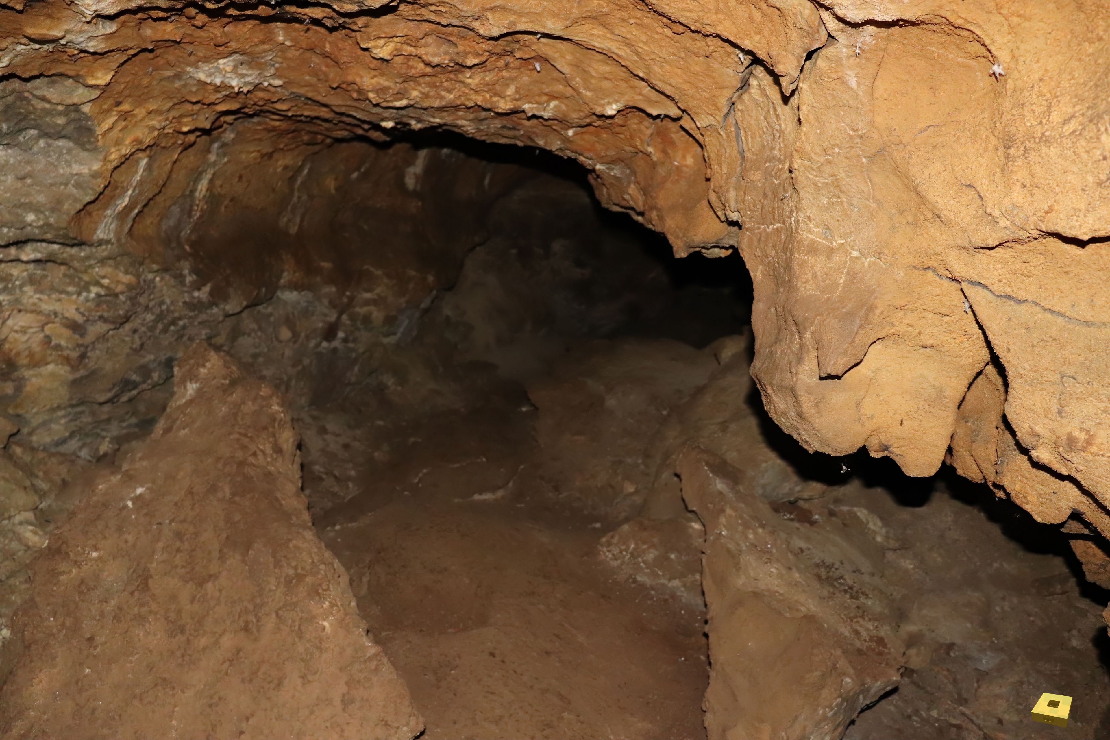 Pierre la Treiche, grotte - 8901 (I)