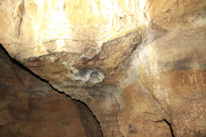 Pierre la Treiche, grotte - 8889 (I)
