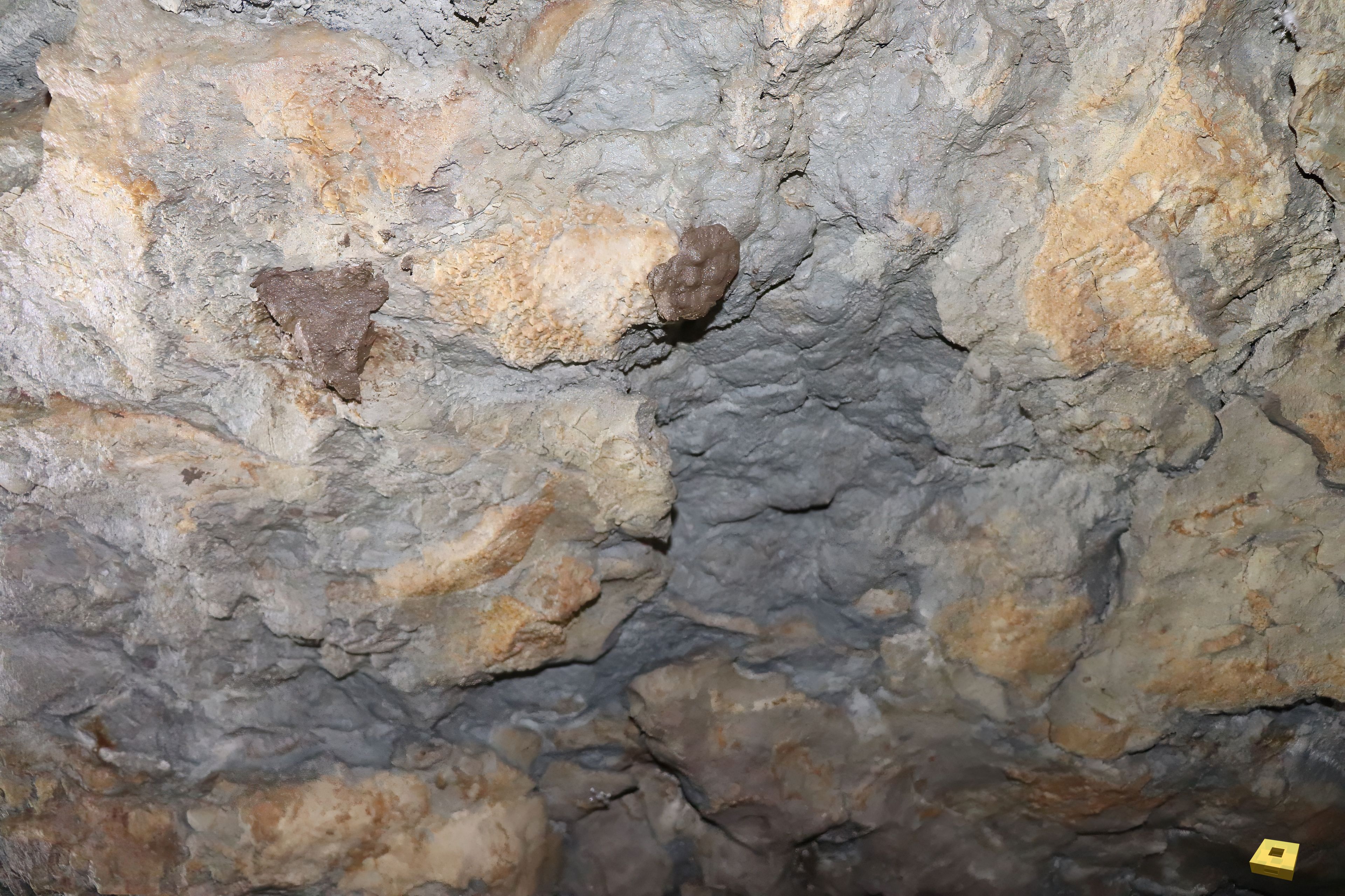 Pierre la Treiche, grotte - 8975 (I)