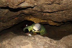 Pierre la Treiche, grotte - 9004 (I)
