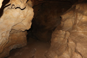 Pierre la Treiche, grotte - 8893 (I)