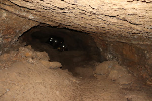 Pierre la Treiche, grotte - 8948 (I)
