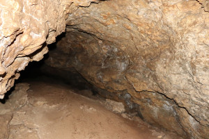 Pierre la Treiche, grotte - 8918 (I)