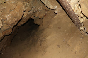 Pierre la Treiche, grotte - 8877 (I)