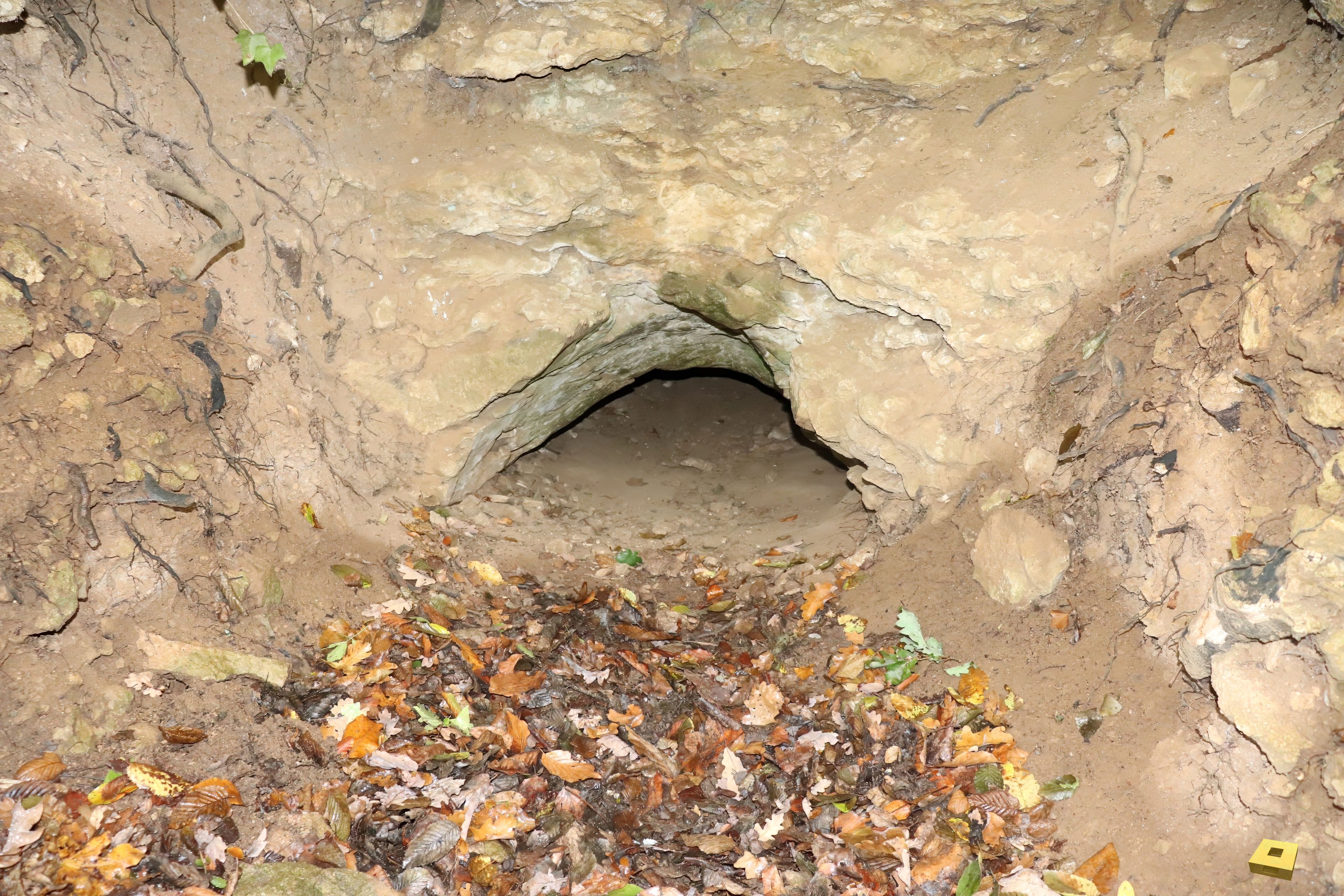 Pierre la Treiche, grotte - 8875 (I)