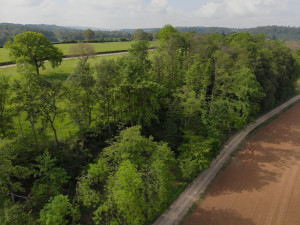 Rebeuville, Trou de la Chouette (I)