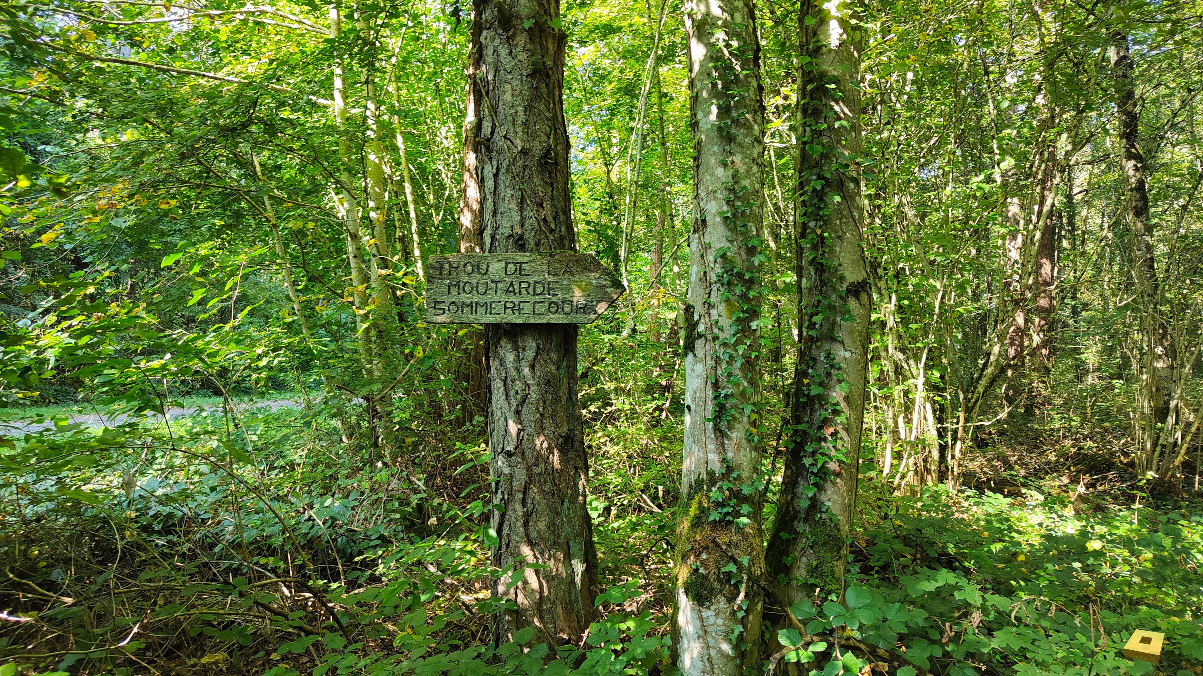 Trou moutarde, panneau (I)