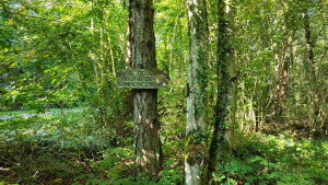 Trou moutarde, panneau (I)