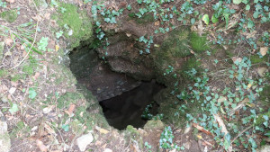 Trou moutarde (S)
