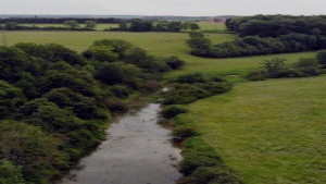 Meuse, résurgence (P)