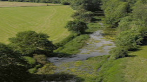 Meuse, pertes (P)