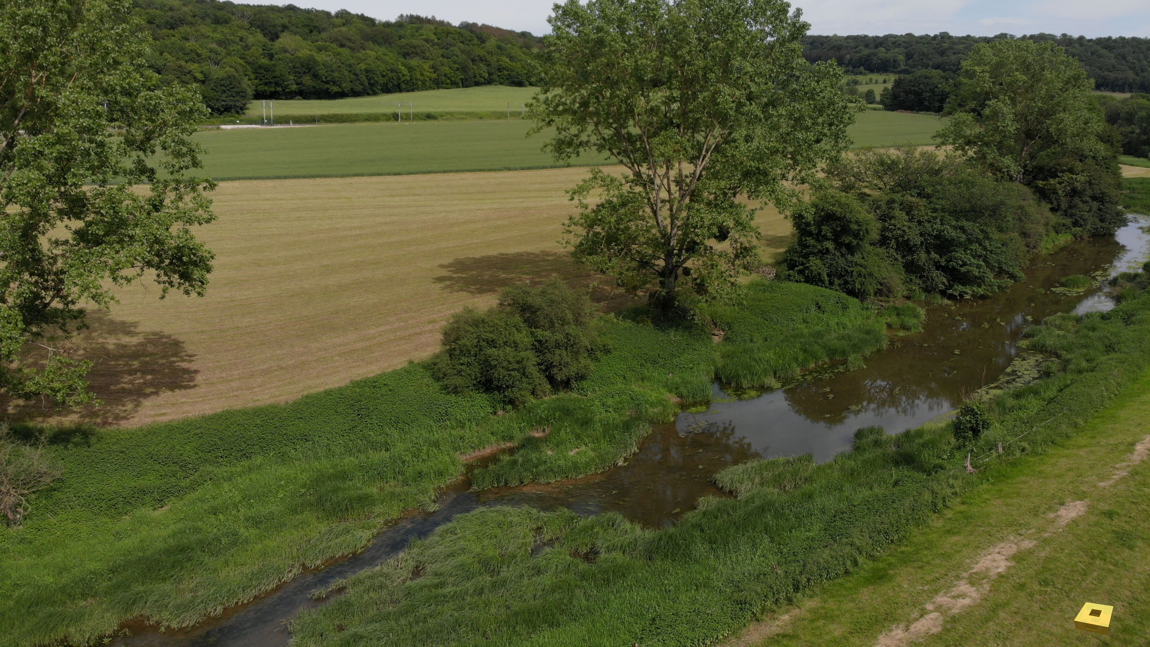 Meuse, pertes (I)
