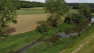 Meuse, pertes (I)