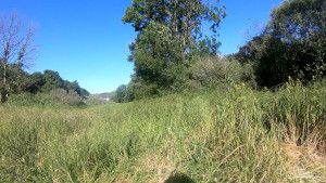 Meuse, pertes (T)