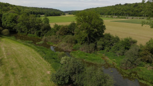 Meuse, pertes (I)