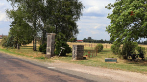 10 Source Lenizeul (T)