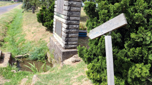 Source de la Meuse (I)