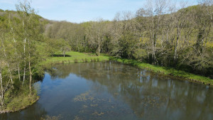 Crohin Source (S)