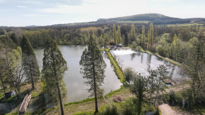Crohin Source (P)