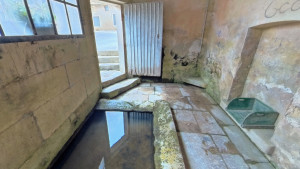 Domrémy, lavoir (a)