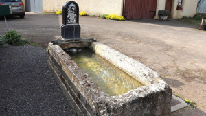 Aroffe, fountain (S)