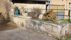 Aroffe, fountain (S)