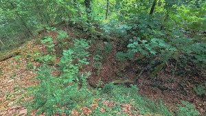 Autigny, cave - vue du dessus (P)