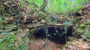 Autigny, cave - vue de l'entrée (P)