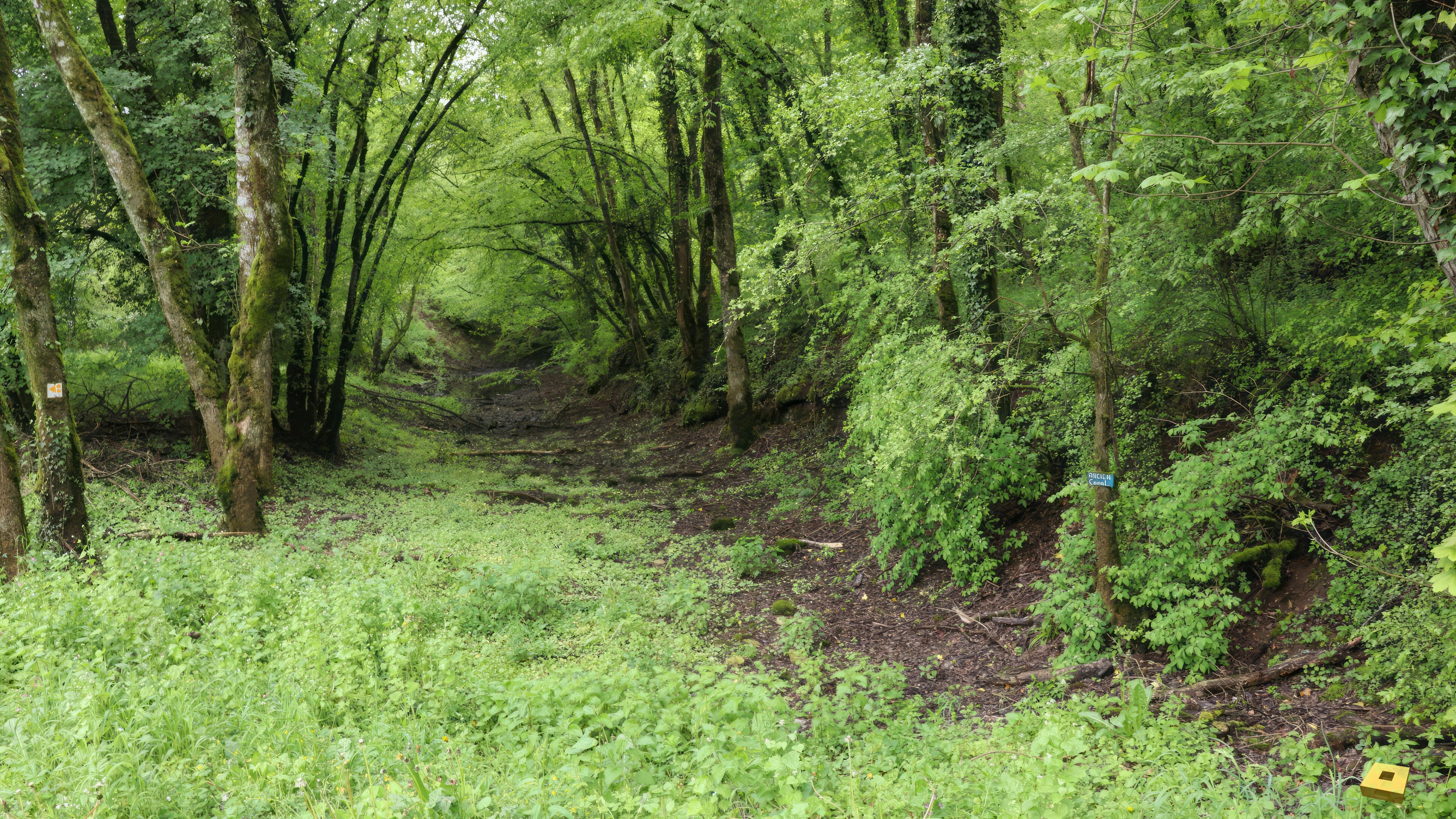 Bazoilles, the old canal (I)