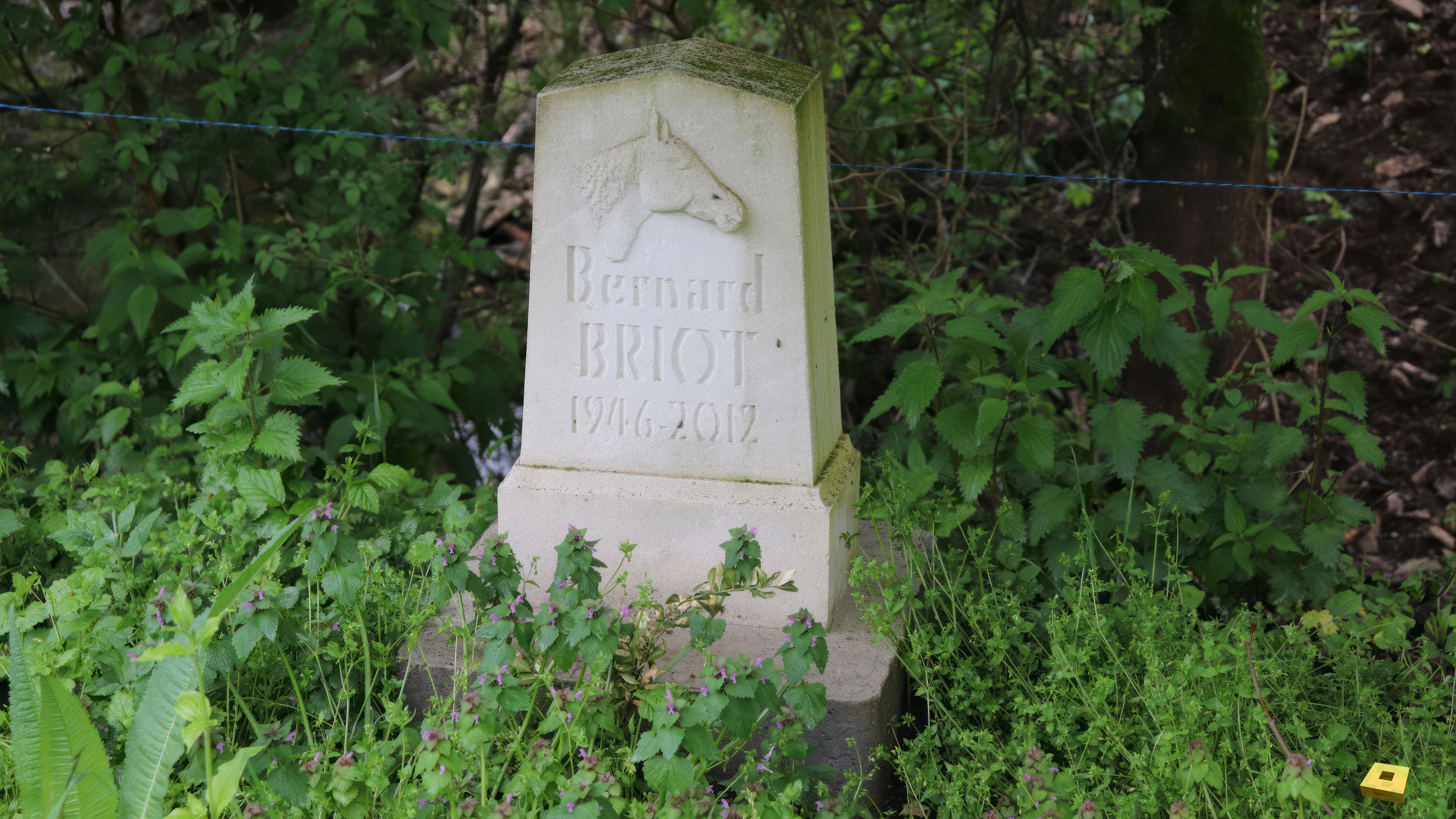 Bazoilles, Stele (I)