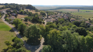Beaufremont, view from the northwest (S)