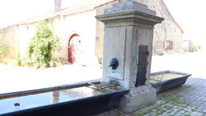 Beaufremont, fountain (S)