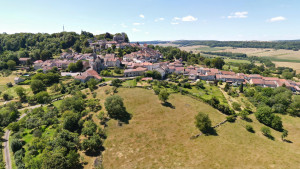 Bourmont, aerial view (P)