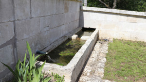 Brixey, lavoir (S)