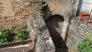 Certilleux, cave (S)