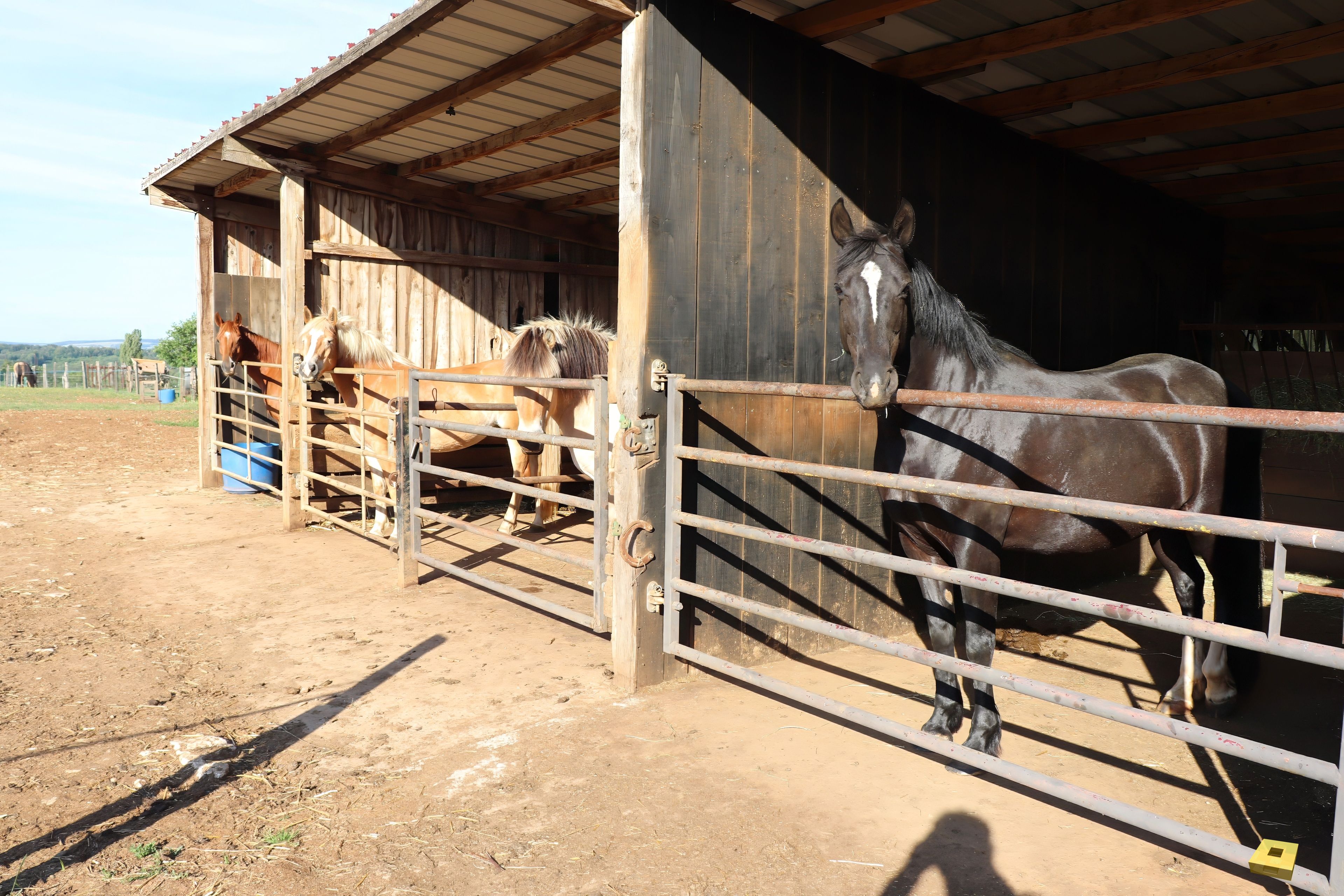 Passion P The Stable (I)