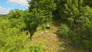 Circourt, roche (P)