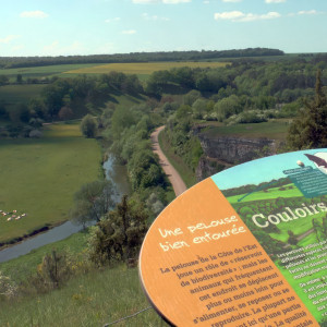 Circourt, vallée (S)