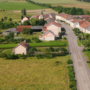 Darney, north (P)