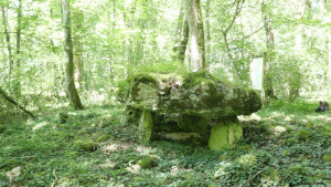 Fort Bévaux, Dolmen (S)