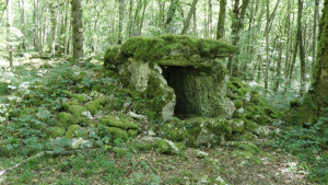 Fort Bévaux, tumulus (S)