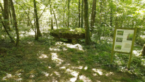 Fort Bévaux, Dolmen (S)