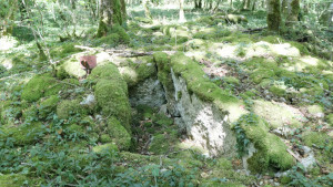 Fort Bévaux, Grabhügel (S)