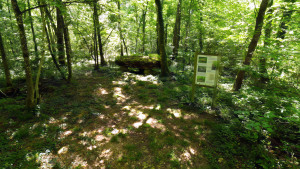 Fort Bévaux, Dolmen (P)