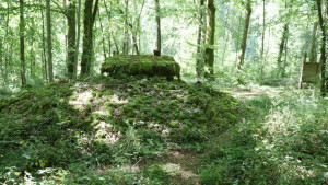 Fort Bévaux, tumulus (S)