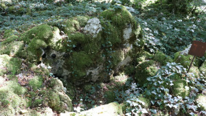 Fort Bévaux, Grabhügel (S)