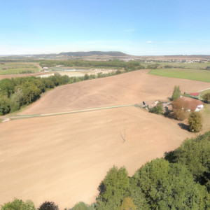 Frebécourt, towards Sionne (P)