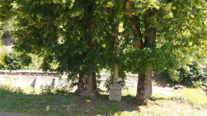 Goncourt, Calvary (S)